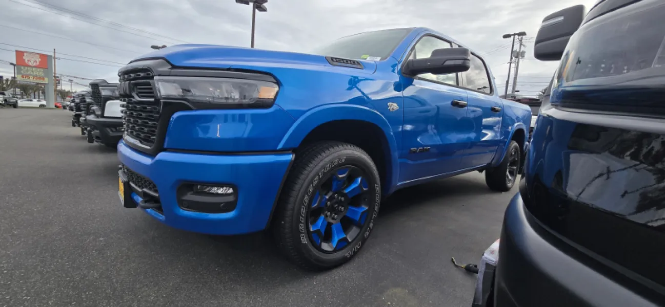 20" Rim Decals